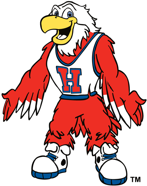 Hartford Hawks 1984-Pres Mascot Logo v2 diy DTF decal sticker